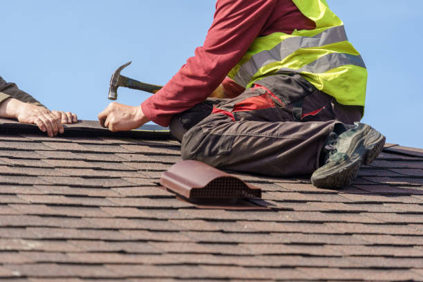 Best Roof Gutter Cleaning  in Mked Tree, AR