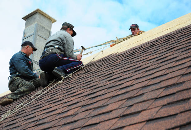 Best New Roof Installation  in Mked Tree, AR