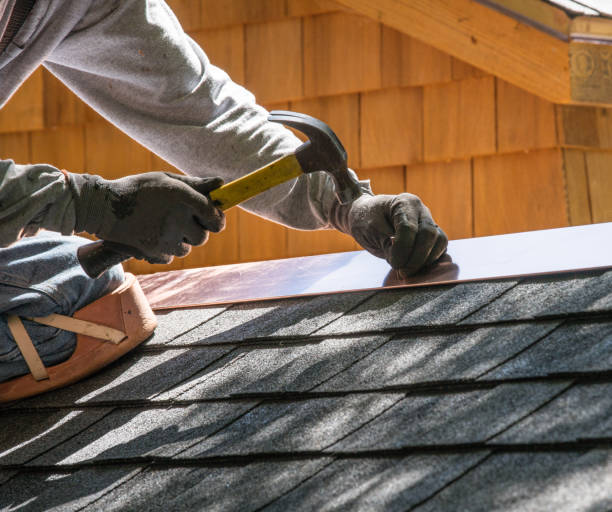 Best Roof Restoration Services  in Mked Tree, AR